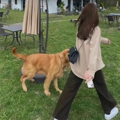玫瑰人生国语